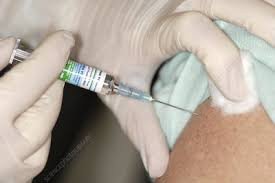 TYPHIM Vi SYRINGE VACCINE