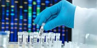 Mitochondrial DNA Sequencing | High-Accuracy mtDNA Analysis for Research & Medicine