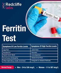 Ferritin Glycosylated Serum Protein for Advanced Research, Diagnostics, and Therapeutics – High Purity, Stability, and Biological Relevance