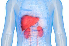 Kidney & Liver Function Profile