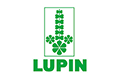 Lupin